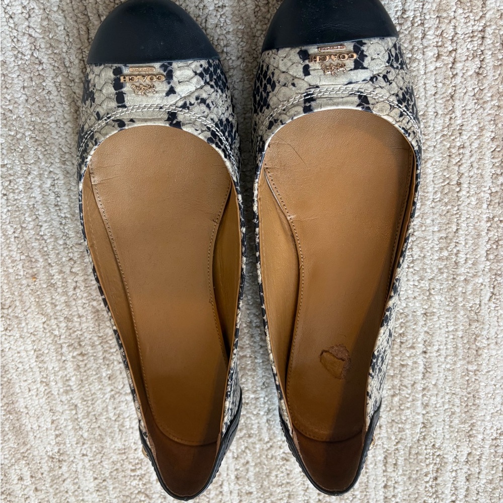 Coach Snakeskin Flats - Black and Cream